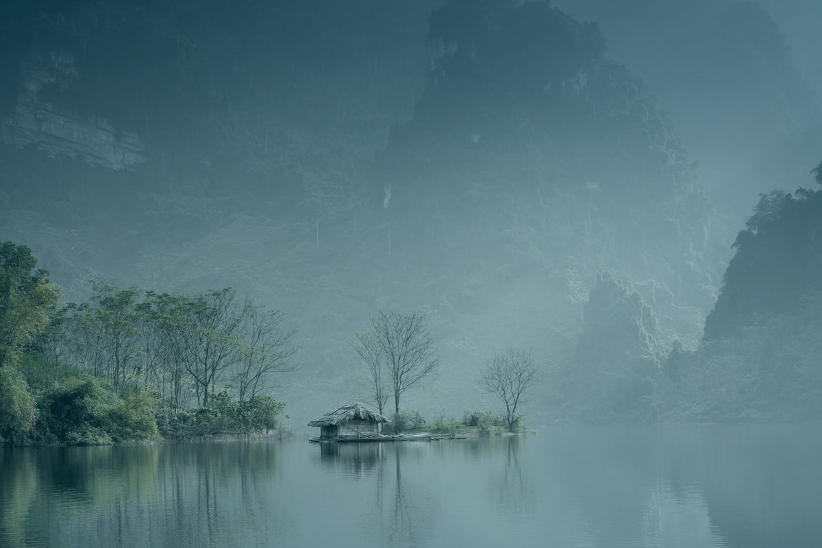 Green trees and water